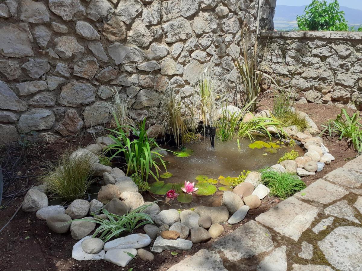 Agoriani Art Suite - 4 Seasons' Natural Living Lílaia Eksteriør billede